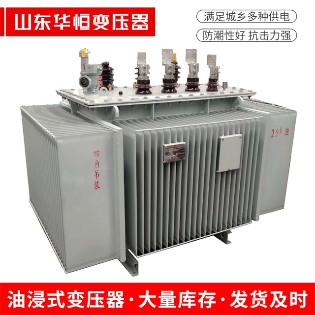 S13-10000/35新化新化新化电力变压器厂家
