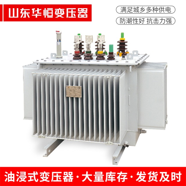 S13-10000/35新化新化新化电力变压器